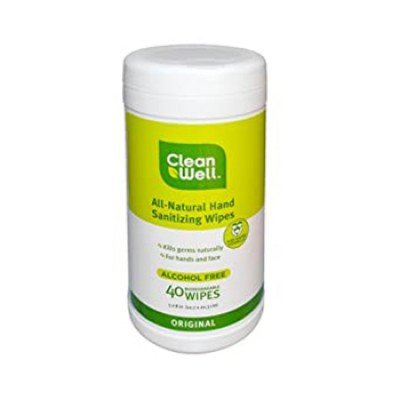 CleanWell Botanical Hand Sanitizing Wipes</h1>